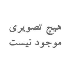 تی شرت طرح زرین بال